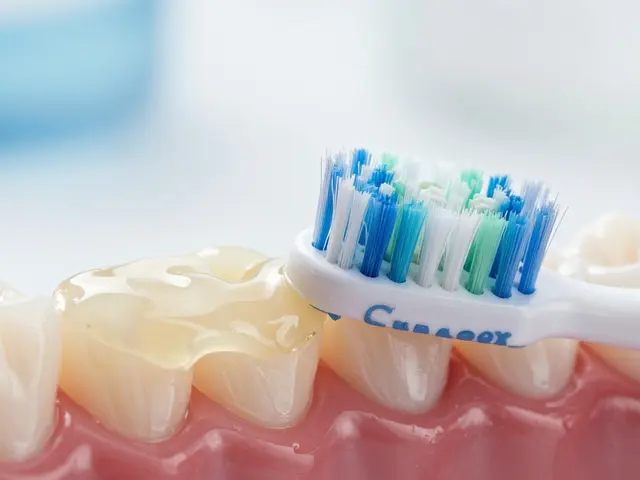 Jak Curaprox kartáčky bojují proti zubnímu kameni: Průvodce pro zdravý úsměv